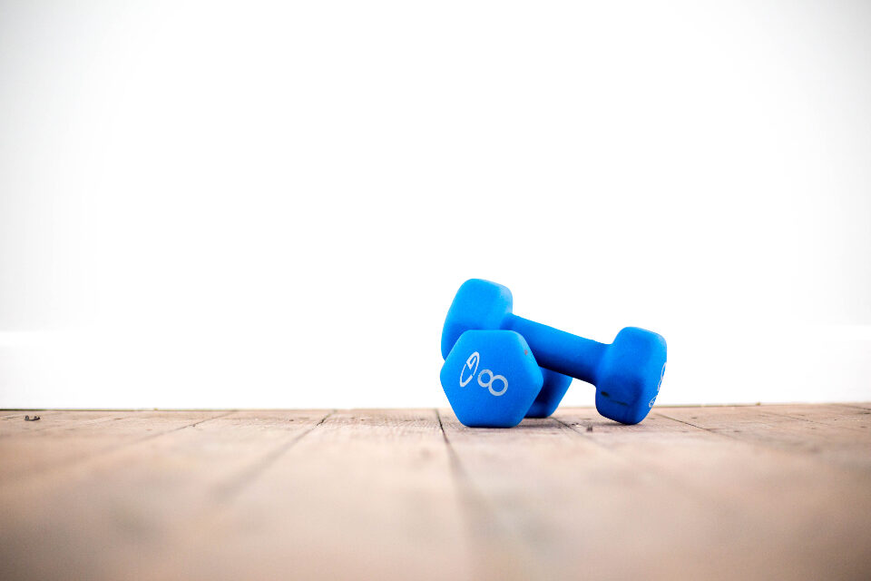Blue dumbbells on a wood floor