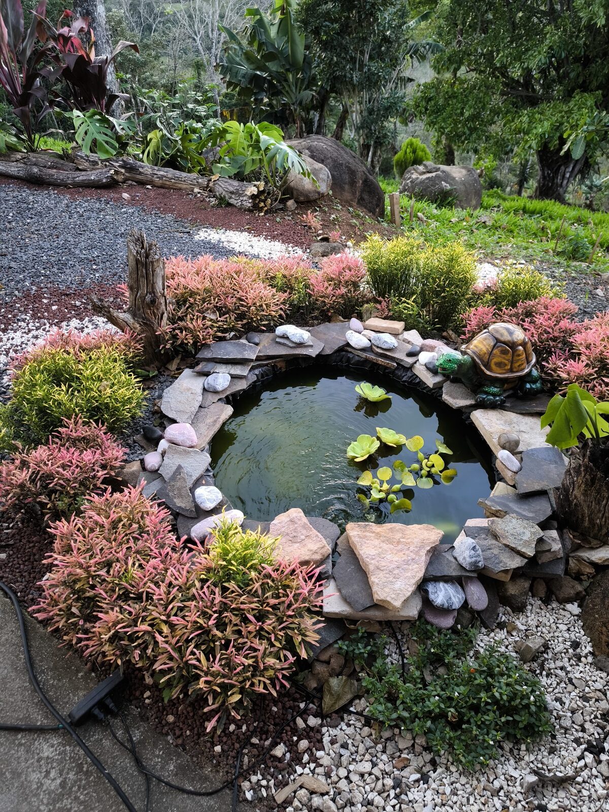 Gravel garden with a stone-edged pond and low shrubs